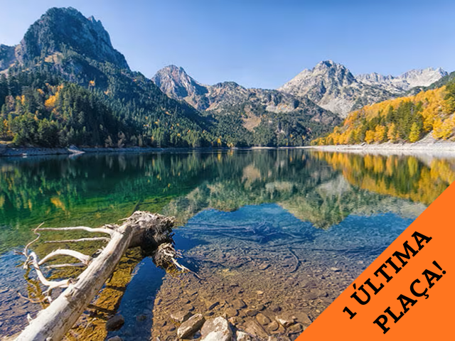 còpia de complet! 32